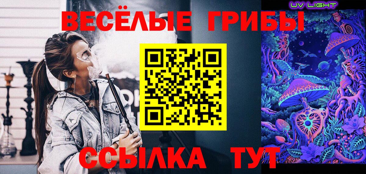 Псилоцибиновые грибы прущие грибы  Вход с VPN  Кизляр 