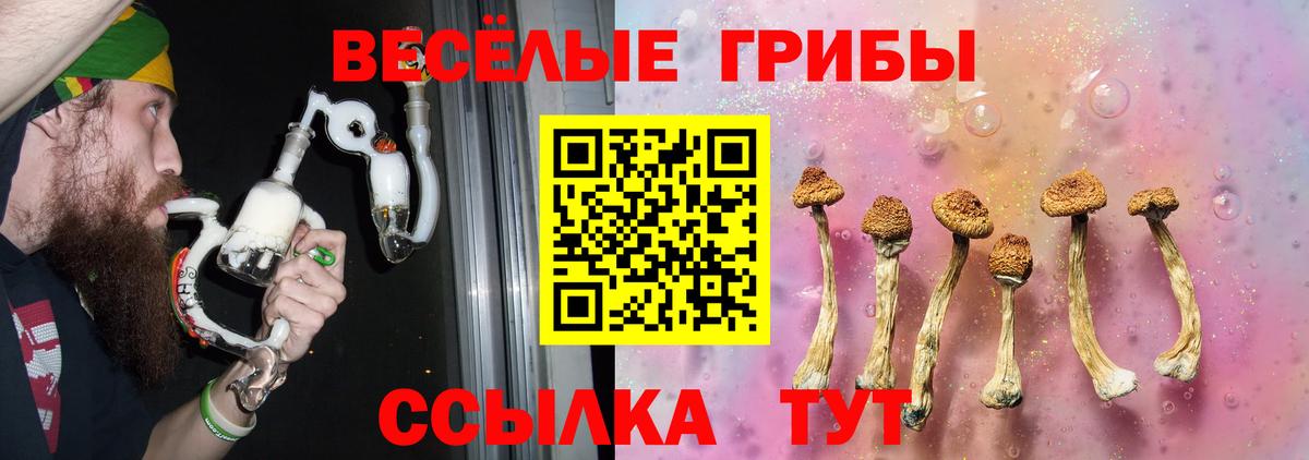 Псилоцибиновые грибы GOLDEN TEACHER Кизляр